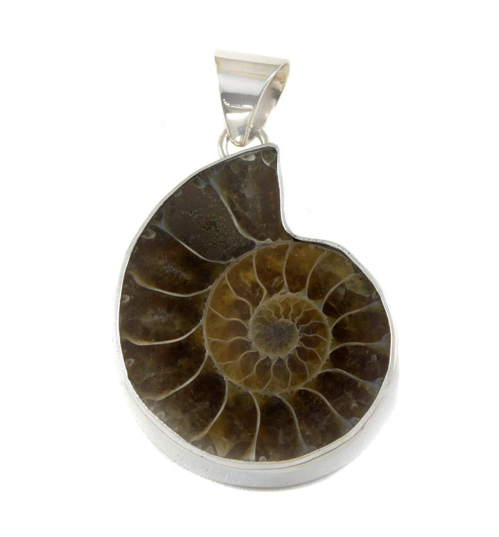 Ammonite Pendant Sterling Silver Large Necklace Pendant Natural Shell Fossil Simple Contemporary Design Earthy Colors Bezel Setting